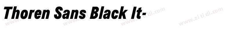 Thoren Sans Black It字体转换